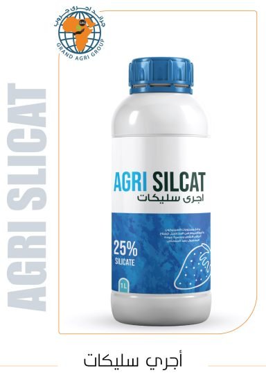 أجري سليكات