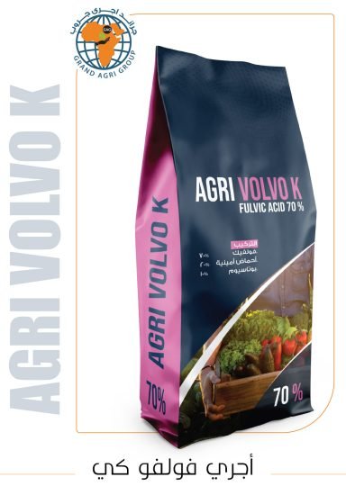 اجري فولفو كي