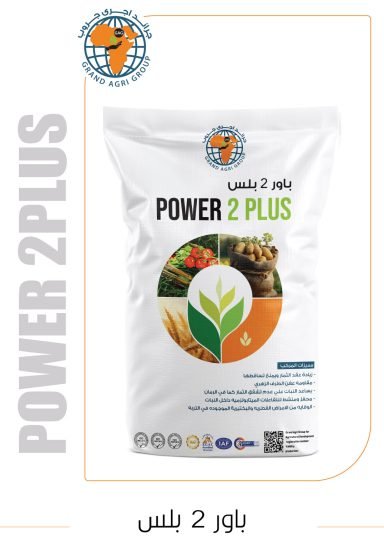 باور 2 بلس