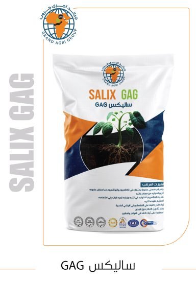 ساليكس GAG