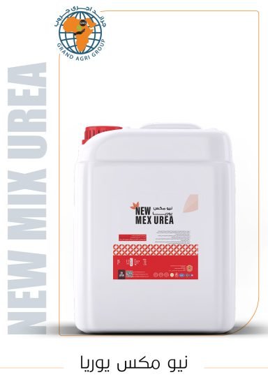 نيو مكس يوريا