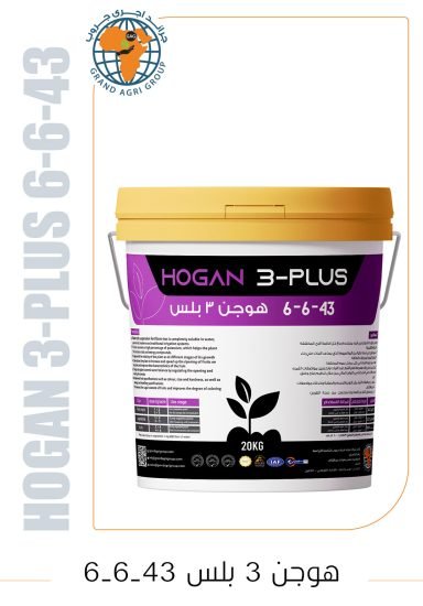 هوجن 3 بلس 6-6-43